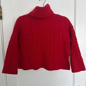 Banana Republic Vibrant Red Turtleneck Sweater